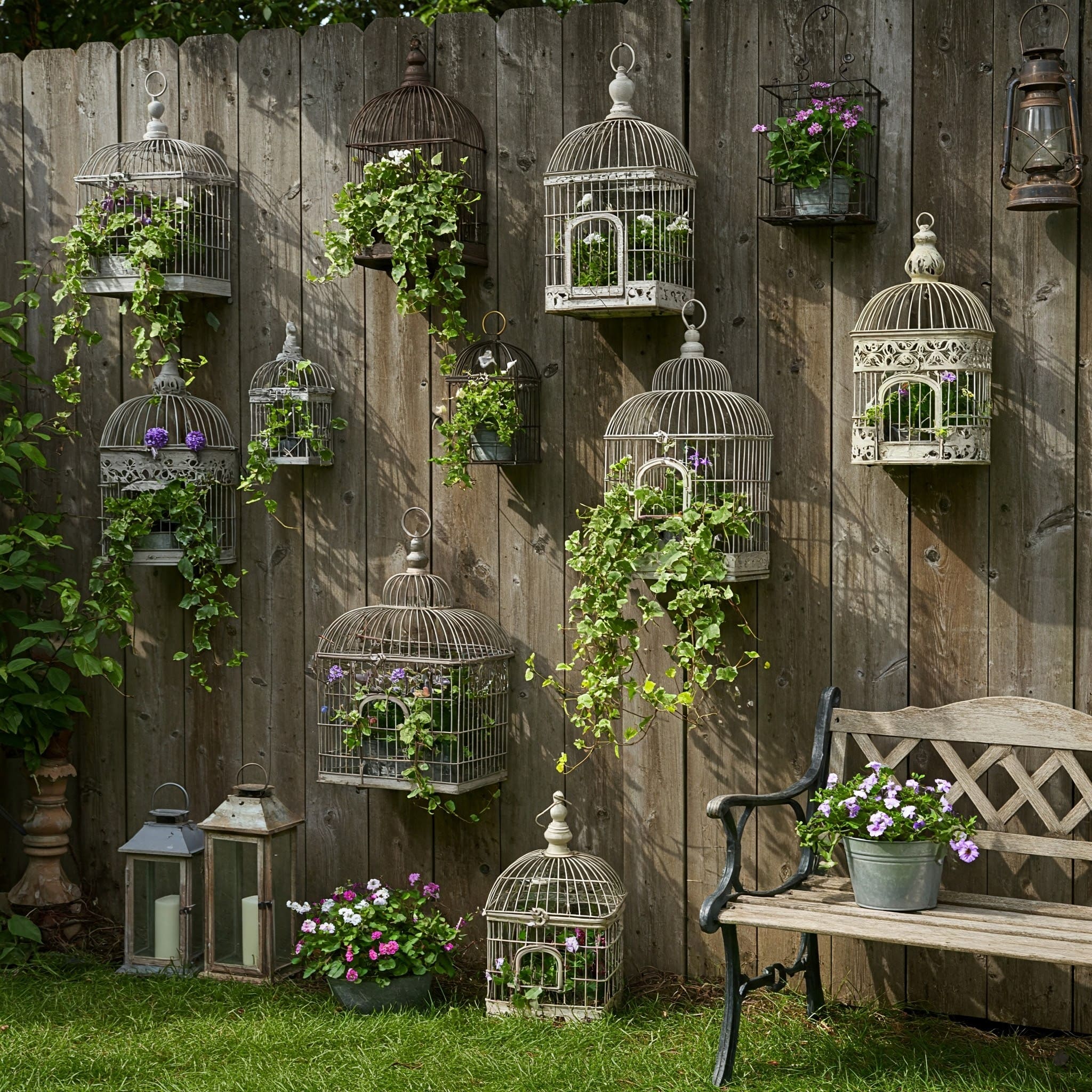 Birdcage Planter Wall